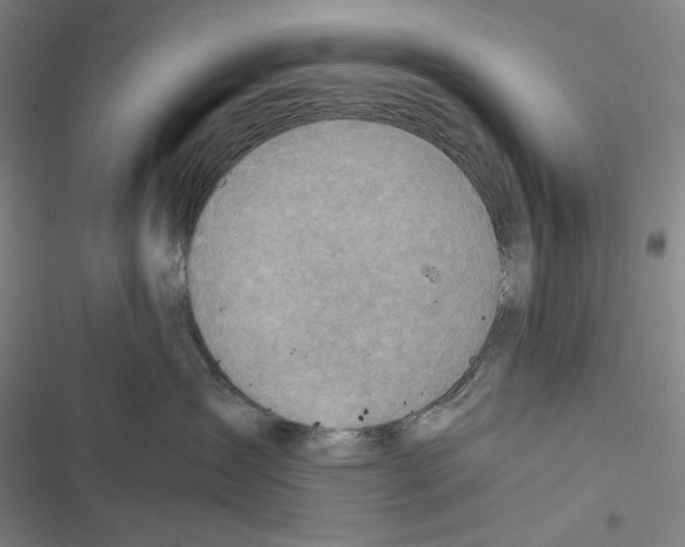 X0000116650431201001111233