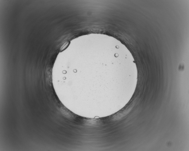 X0000116650432201001111233