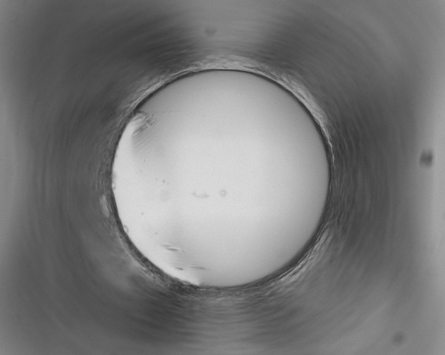 X0000116650433201001111232