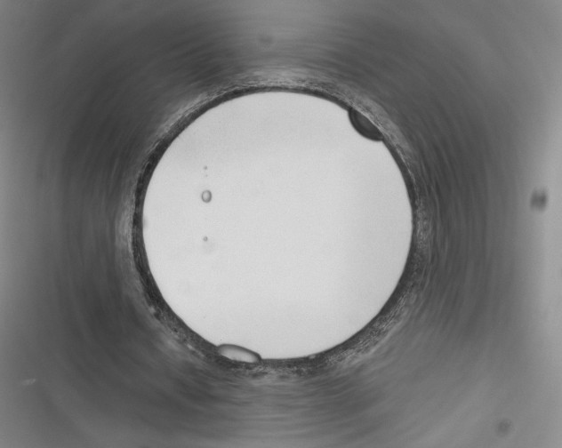 X0000116650434201001111232