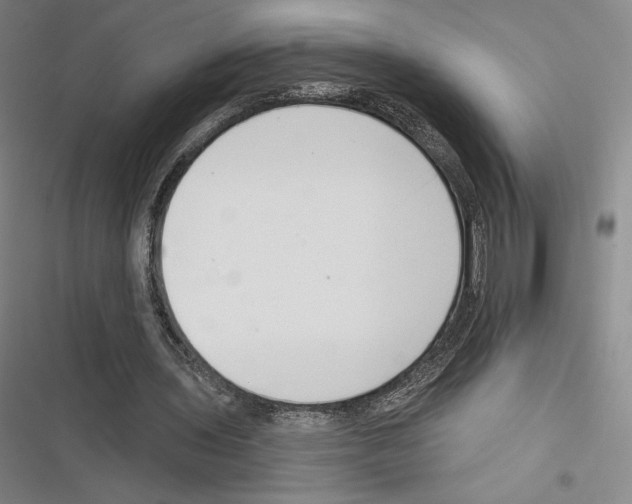 X0000116650435201001111232