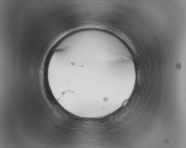 X0000116650436201001111232