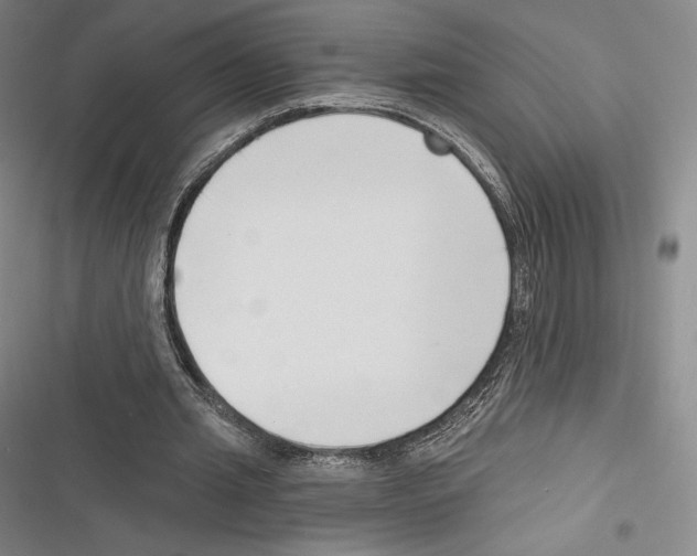 X0000116650437201001111232