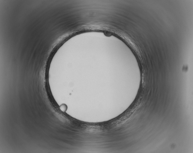 X0000116650438201001111232