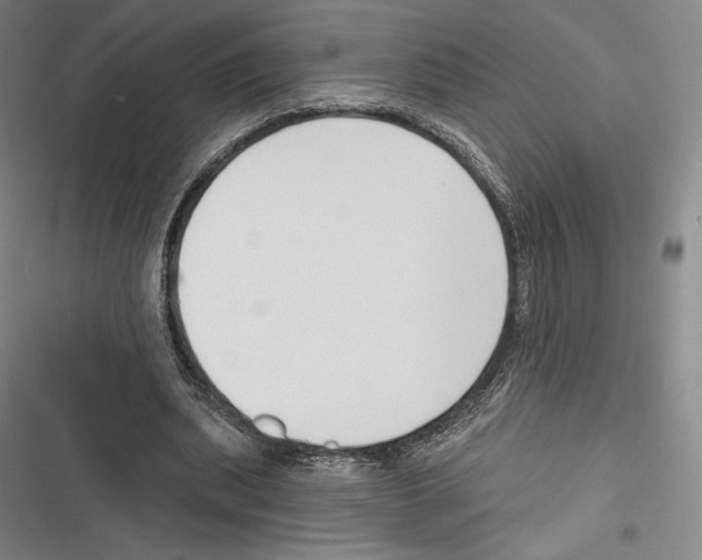 X0000116650439201001111232
