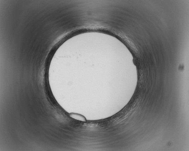 X0000116650440201001111232