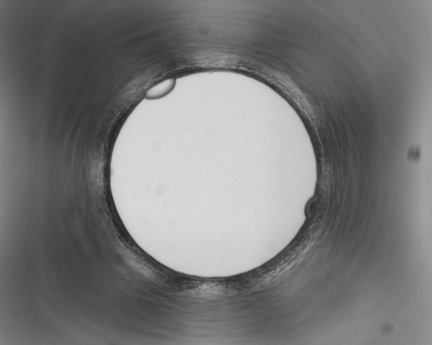 X0000116650441201001111232