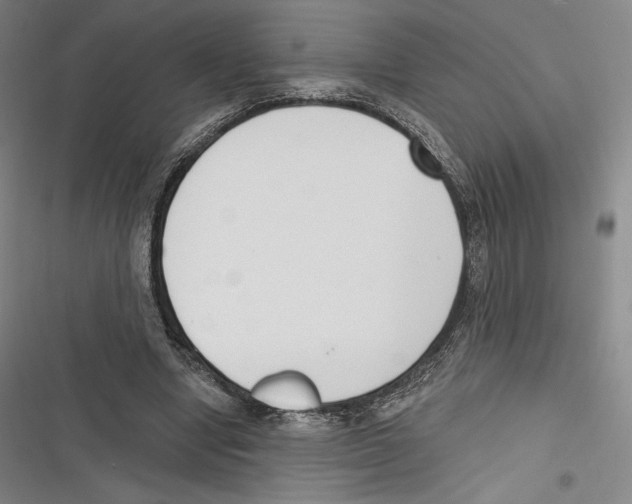 X0000116650442201001111232