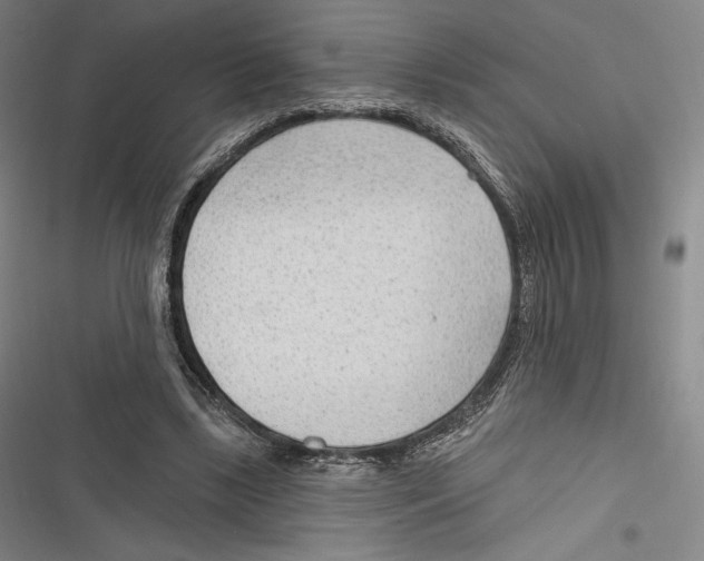 X0000116650443201001111232