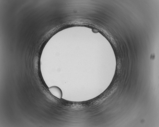 X0000116650445201001111232