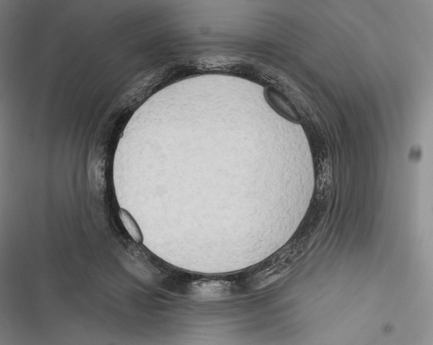 X0000116650452201001111232
