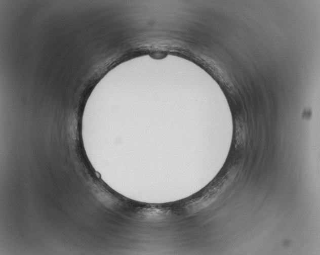 X0000116650453201001111232