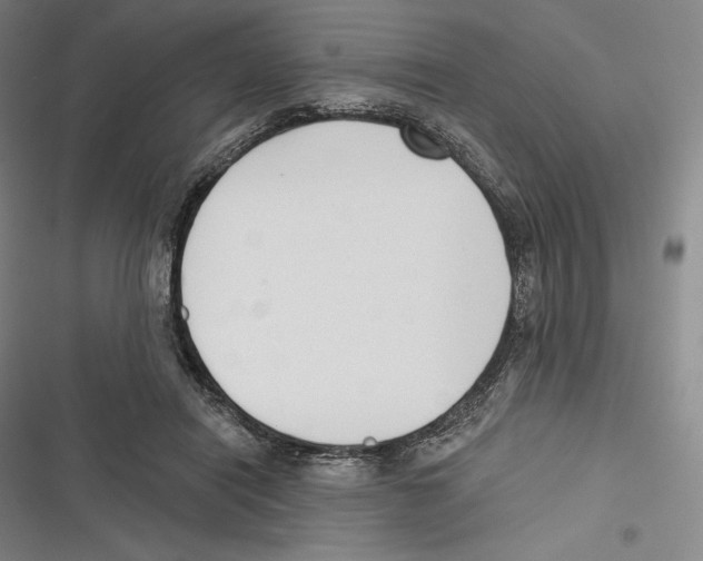X0000116650454201001111232