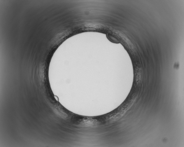 X0000116650455201001111232