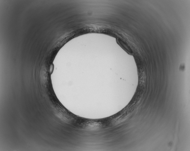 X0000116650456201001111232