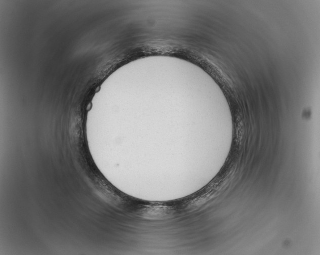 X0000116650459201001111232