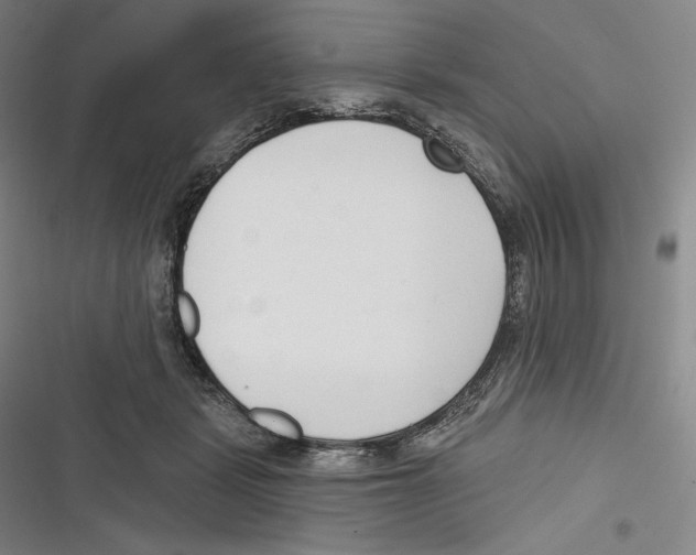X0000116650461201001111232