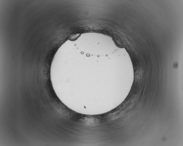 X0000116650464201001111233