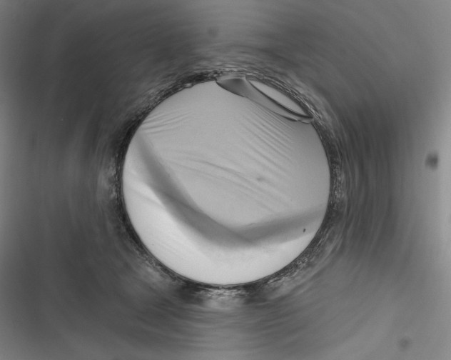 X0000116650465201001111233