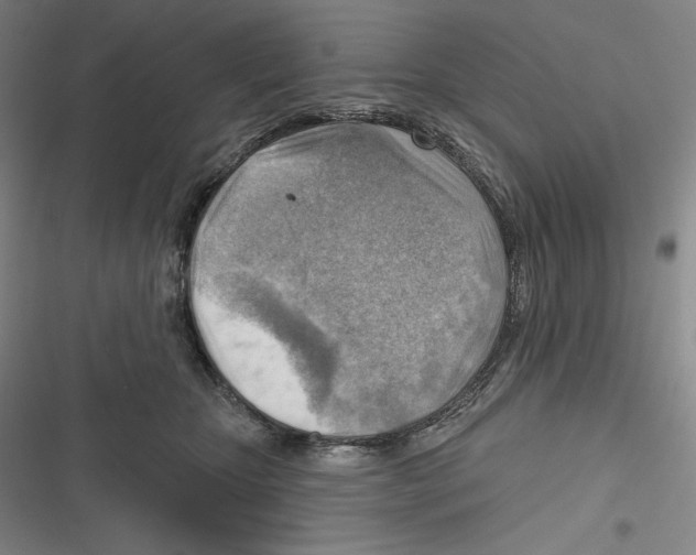 X0000116650467201001111233