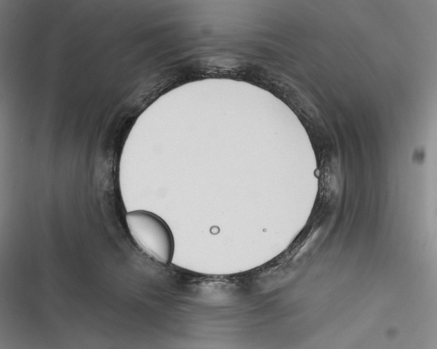 X0000116650468201001111233