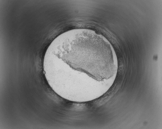 X0000116650469201001111233