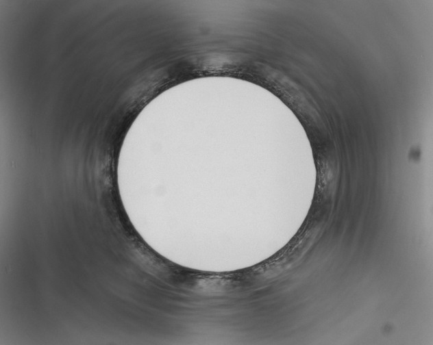 X0000116650470201001111233