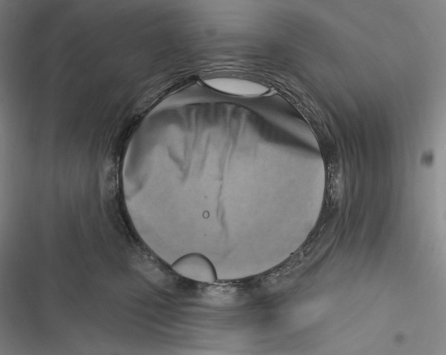 X0000116650471201001111233