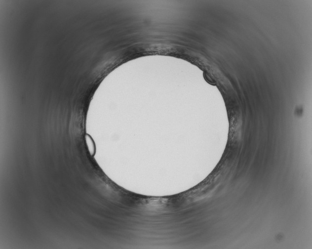 X0000116650474201001111233
