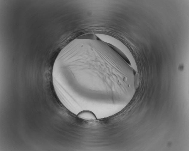 X0000116650475201001111233