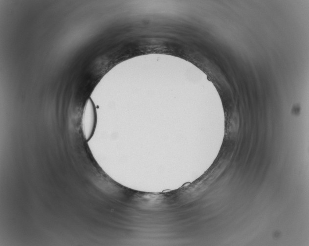 X0000116650478201001111233