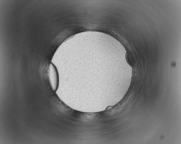 X0000116650479201001111233