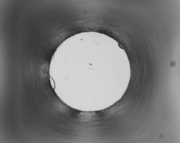 X0000116650480201001111233
