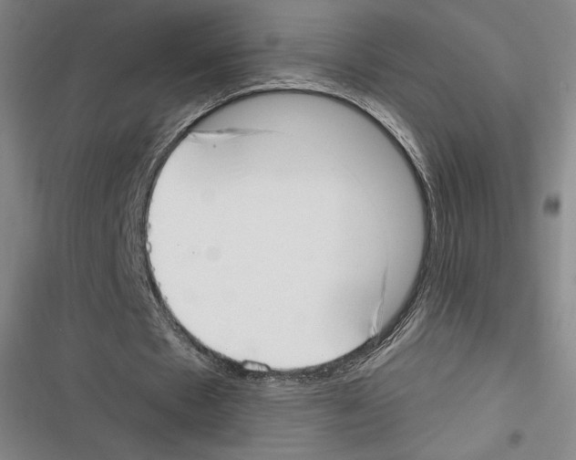 X0000116650481201001111232