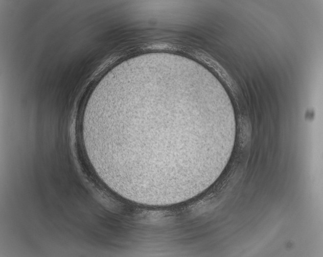 X0000116650482201001111232