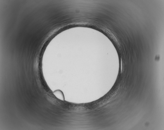 X0000116650483201001111232
