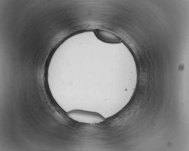 X0000116650485201001111232