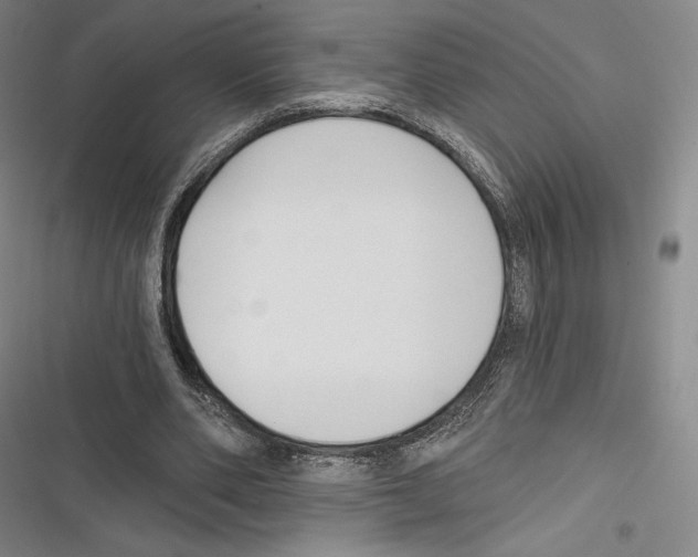 X0000116650486201001111232