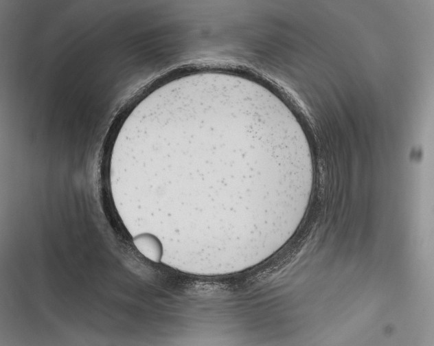 X0000116650487201001111232