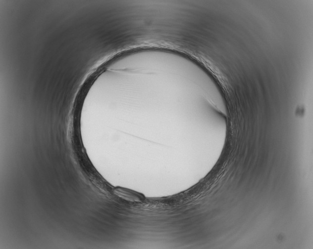 X0000116650488201001111232