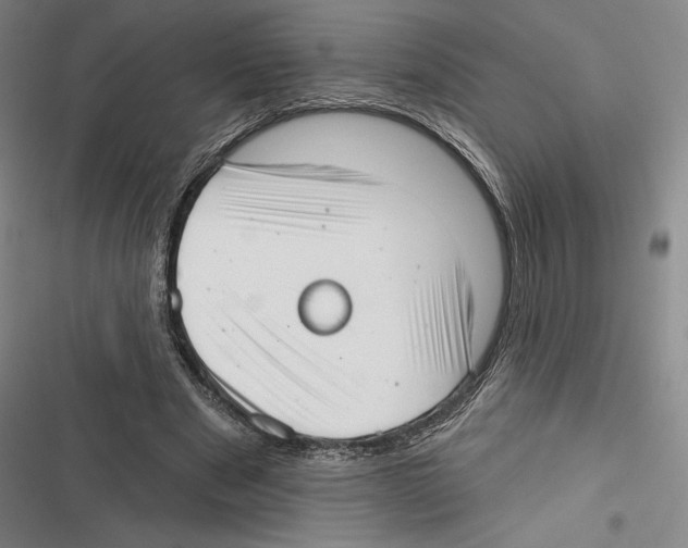 X0000116650489201001111232