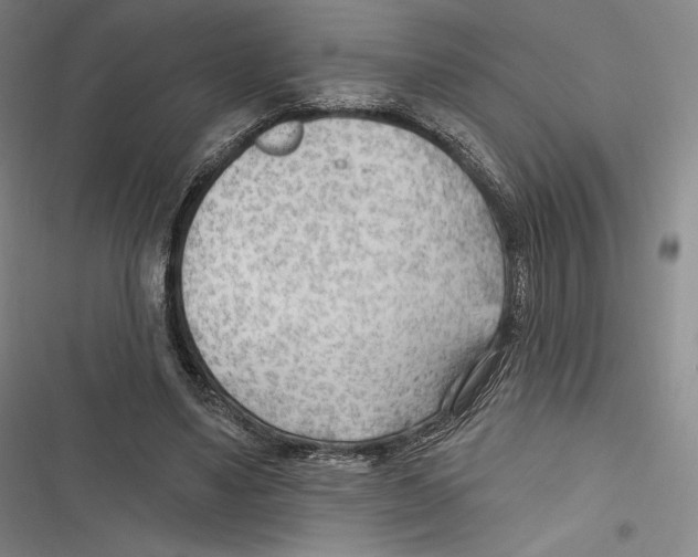 X0000116650491201001111232