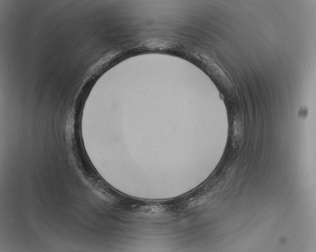 X0000116650492201001111232