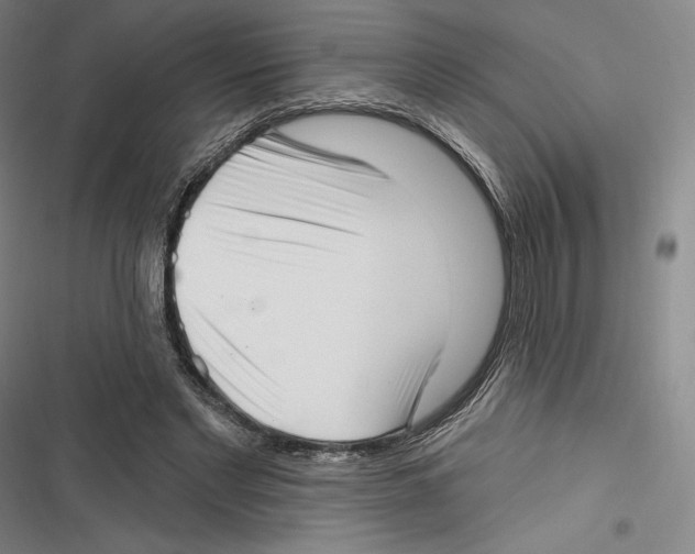 X0000116650493201001111232