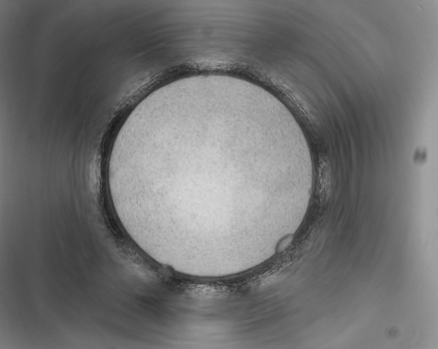 X0000116650494201001111232