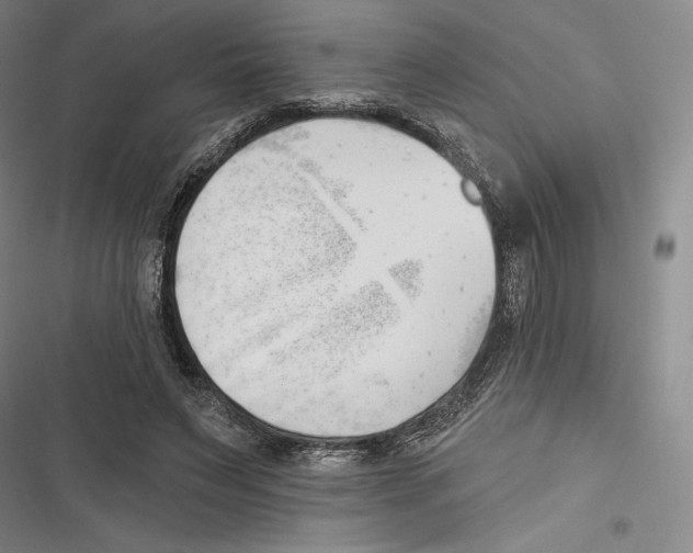 X0000116650495201001111232