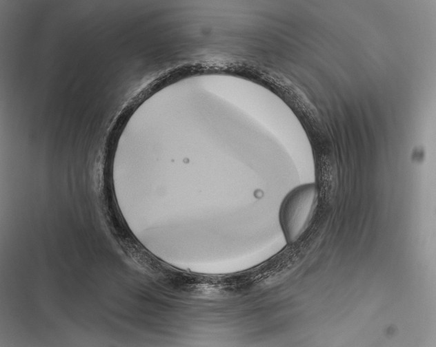 X0000116650496201001111232