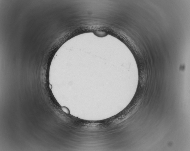 X0000116650497201001111232