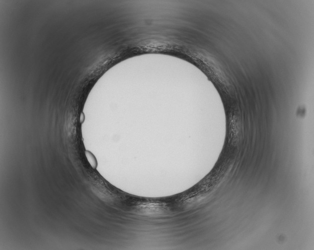 X0000116650499201001111232