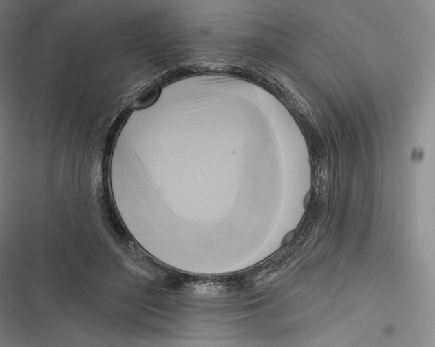 X0000116650500201001111232